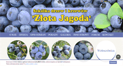 Desktop Screenshot of borowka.pl