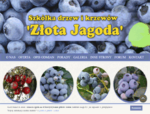 Tablet Screenshot of borowka.pl